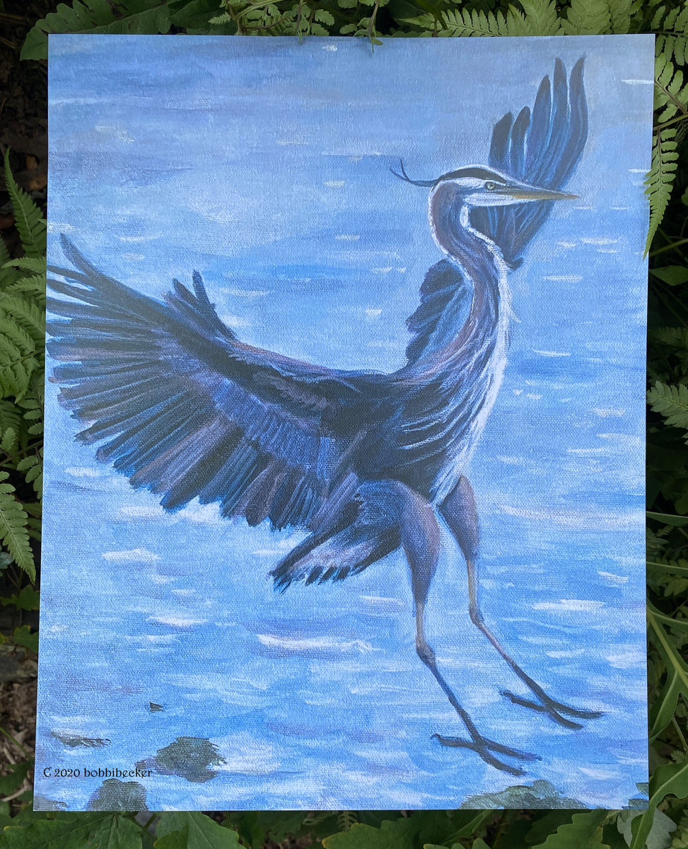 IMG-6114_1200x1200.jpg?v=