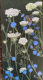 Queen Anne's Lace and Chicory - Print