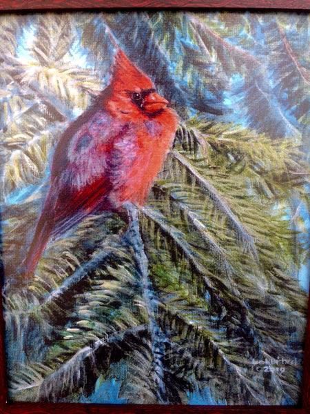 "Cardinal in the Evergreen"  8x10