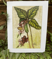 Jack In The Pulpit with Fairy Friends card