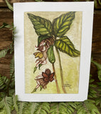 Jack In The Pulpit with Fairy Friends card